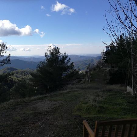 Heaven Of Prodromos Bed and Breakfast Exteriör bild