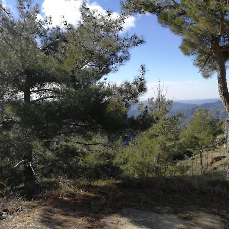 Heaven Of Prodromos Bed and Breakfast Exteriör bild