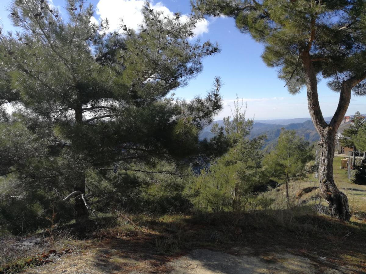 Heaven Of Prodromos Bed and Breakfast Exteriör bild